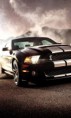 /album/fotogaleria-auta-cars/ford-mustang-svt-cobra-jpg/